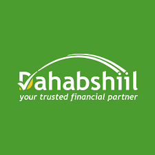 Dahabshil logo